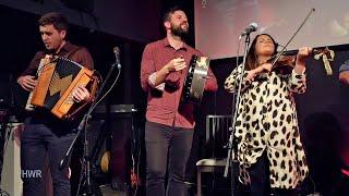 Goitse in Concert (3): The Dog Reels (live) - Craiceann Bodhrán Festival 2023