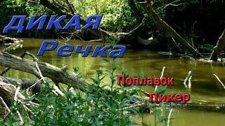 Рыбалка  на реке, ловля на поплавок и пикер. Дикий Северский донец.