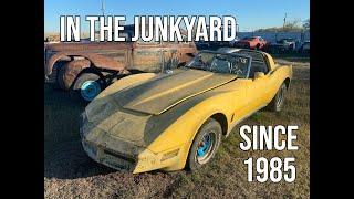 After 40 Years Off The Road... Will This 1980 Corvette Run?"