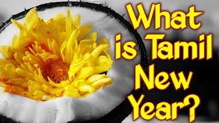 TAMIL PUTHANDU | TAMIL NEW YEAR | TAMIL VARUDA PIRAPPU