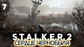 Топаем на болота ️ S.T.A.L.K.E.R. 2: Heart of Chornobyl [PC 2024] #7