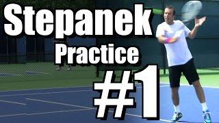Radek Stepanek | Forehand, Backhand, Slice, and Overhead #1 | Western & Southern Open 2014