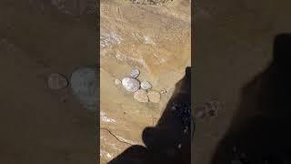 камни.н. заговорили ..  #шортс #юмор #море
