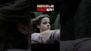 헤르미온느에게 동생이?  #해리포터