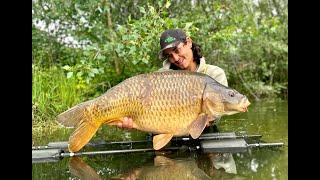 Carpfishing in Österreich