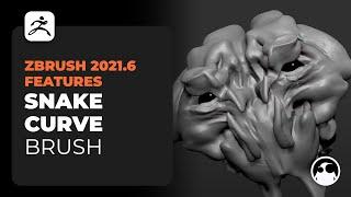 ZBrush 2021.6 Snake Curve brushes