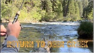 Trout Fishing At Deer Creek In Beautiful Tehama County! Back to Basics.