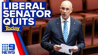 Senator David Van resigns effective immediately amid fresh allegations | 9 News Australia