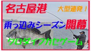 2025年3月　乗っ込みシーズン開幕！　名港クロダイフカセゲーム