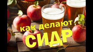 How to make cider/Cider