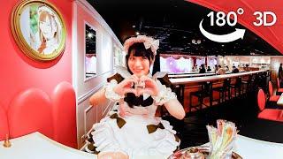 A VR Tour of Akihabara, the Pop Culture Hub of Japan| Nippon.com