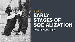 Part 1 - Early Stages of Socialization with Michael Ellis