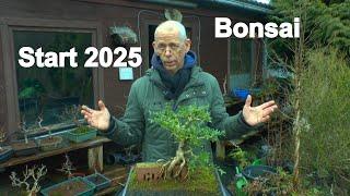 Bonsai 2025 Start mit den kleinen Bäumen. Achtung Klimawandel. Schützt eure Bäume