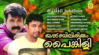 Khalbilirikkum Painkili | Album Songs Audio Jukebox | Saleem Kodathoor | Thajudheen Vadakara