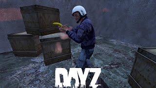 “Assassin” - DayZ Adventures With Random Survivors