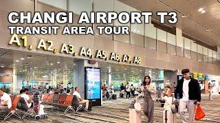 Changi Airport Terminal 3 transit area tour | Singapore Changi Airport