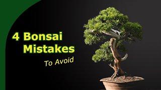 Grow Better Bonsai Faster || 4 Bonsai mistakes to avoid