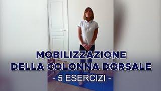 5 Esercizi di Mobilizzazione della Colonna Dorsale