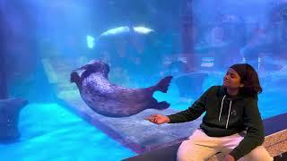  LIVE: Exploring SEA LIFE Aquarium  | Sharks, Turtles & More! 