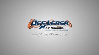 10 Month German Shephard “Opi” Heeling Lesson|Harrisburg Dog Trainers| Best Shephard Trainers In PA