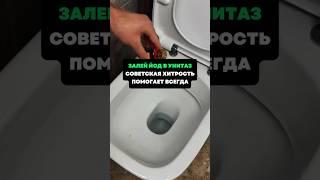 Залей йод в унитаз.Советская хитрость помогает всегда #лайфхаки #советы #хитрости