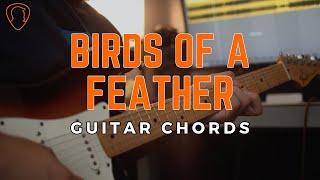 Billie Eilish - BIRDS OF A FEATHER | Guitar Chords