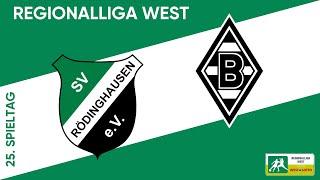 Zieht Gladbach im Aufstiegsrennen nach? I SV Rödinghausen - Borussia Mönchengladbach II I RL West