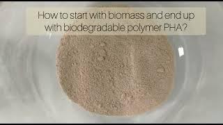 How to make the biodegradable polymer PHA