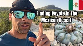 Finding PEYOTE In Mexico 