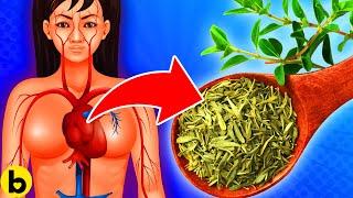 9 POWERFUL Health Benefits Of Thyme