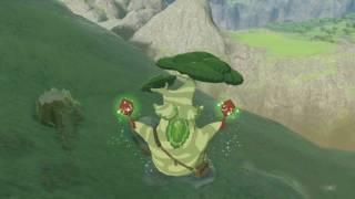 The Legend of Zelda: Breath of the Wild: Hestu's Dance