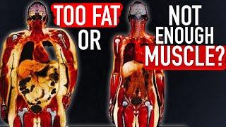 Are you Too Fat or just Too Weak?