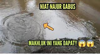 NIAT NAJUR IKAN GABUS, MAKHLUK INI YANG NYANGKUT!!