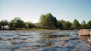 Portuguese minister calls for water resilience financing by EU investment bank