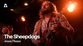 The Sheepdogs - Jesse, Please | Audiotree Live