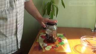 Настойка, золотой ус