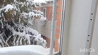 стеллажи Красивая грядка