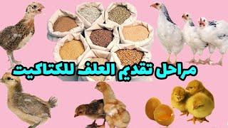 هام جدا  مراحل تقديم العلف و كيف اغير العلف للكتاكيت من دون موت اي كتكوت