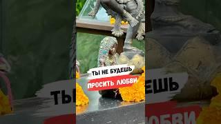 ТЫ БОЛЬШЕ НЕ БУДЕШЬ ПРОСИТЬ ЛЮБВИ #благомир #мудрость #любовь #отношения #веды