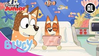 Bluey |  Bingo Opvrolijken | Disney Junior BE