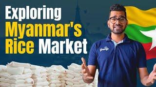 Exploring Myanmar's Rice Market | Rice Mills, Insights & Adventures | PWIP India