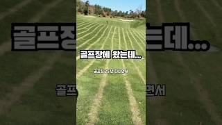 골프장인가 밭인가??? #골프장 #골프 #golf