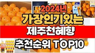 2024년 인기 가성비 제주천혜향  추천 TOP10