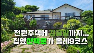 제주부동산-전원주택에 감귤밭 361평을 한꺼번에 드립니다.