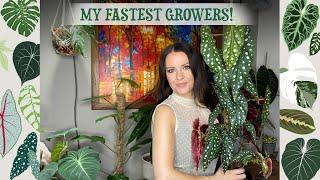 My Fastest Growing Houseplants! Top 10 