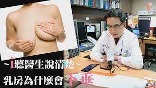 【i聽醫生說清楚2】乳房為什麼會「下垂」