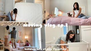 moving vlog ep. 2: building new furniture, errands, organizing, asian grocery haul