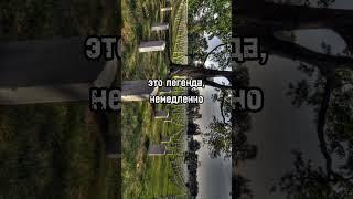 Продолжают ли расти волосы и ногти после смерти?