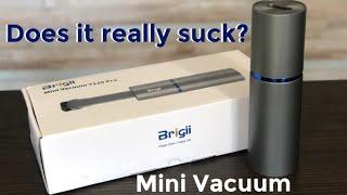 Brigii Mini Vacuum Review