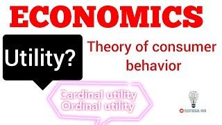 What is utility? Theory of consumer behavior. ECONOMICS